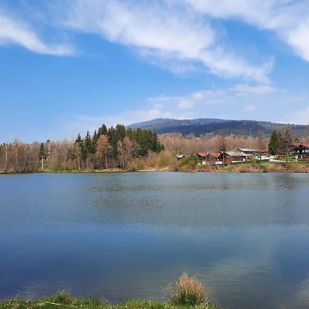 Fewo Bayerischer Wald Im Lamer Winkel أراتش المظهر الخارجي الصورة