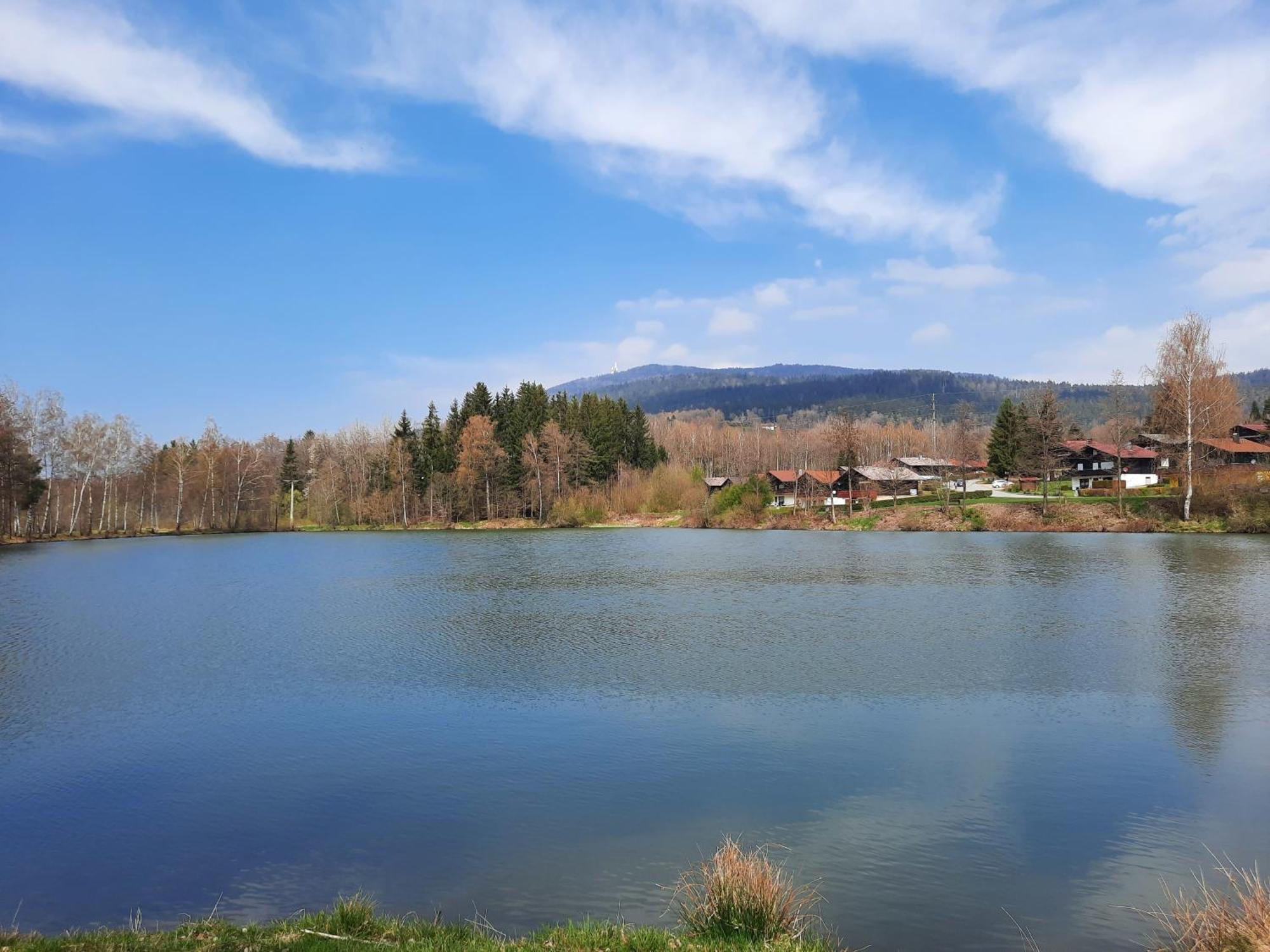 Fewo Bayerischer Wald Im Lamer Winkel أراتش المظهر الخارجي الصورة
