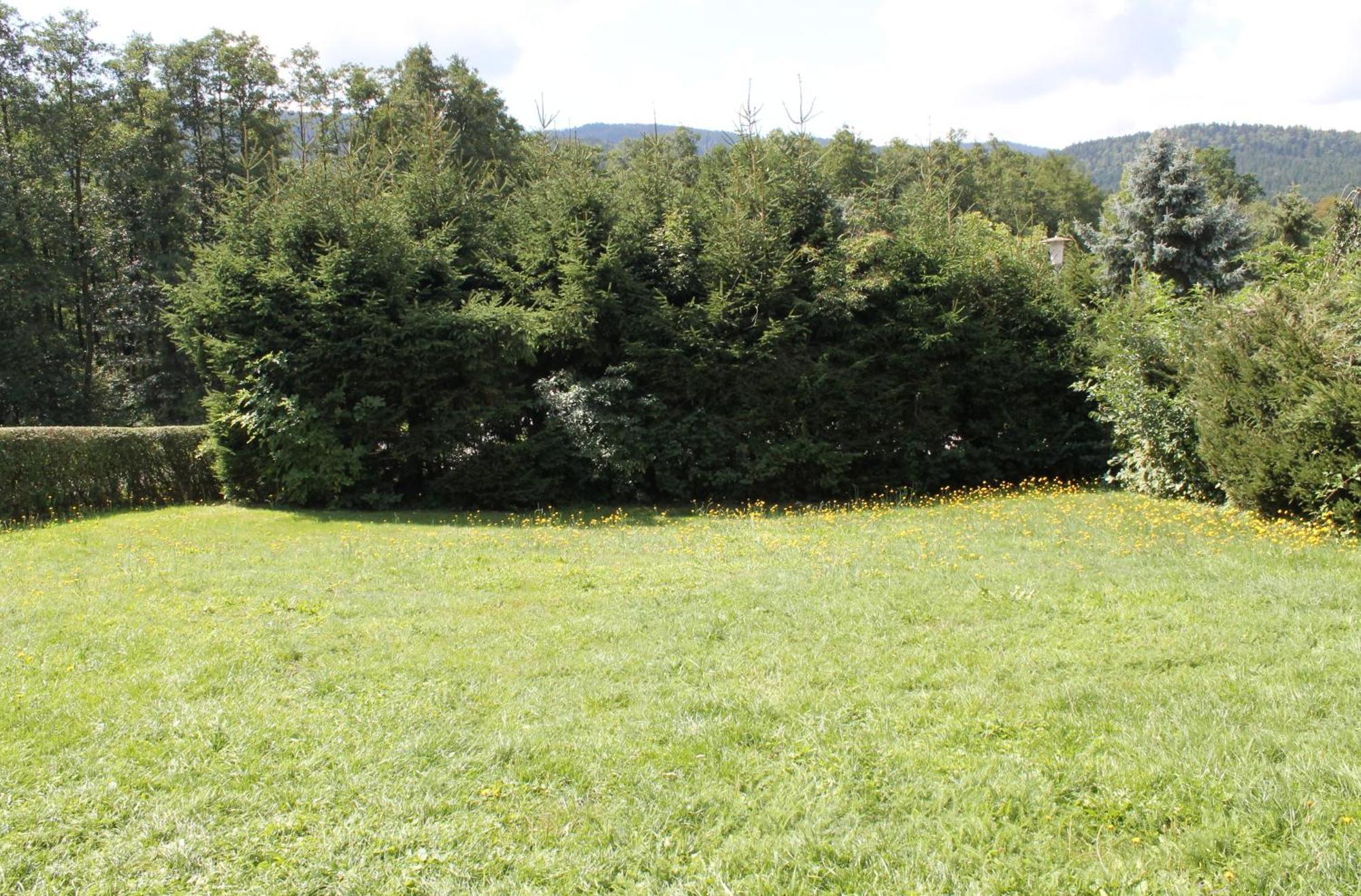 Fewo Bayerischer Wald Im Lamer Winkel أراتش المظهر الخارجي الصورة
